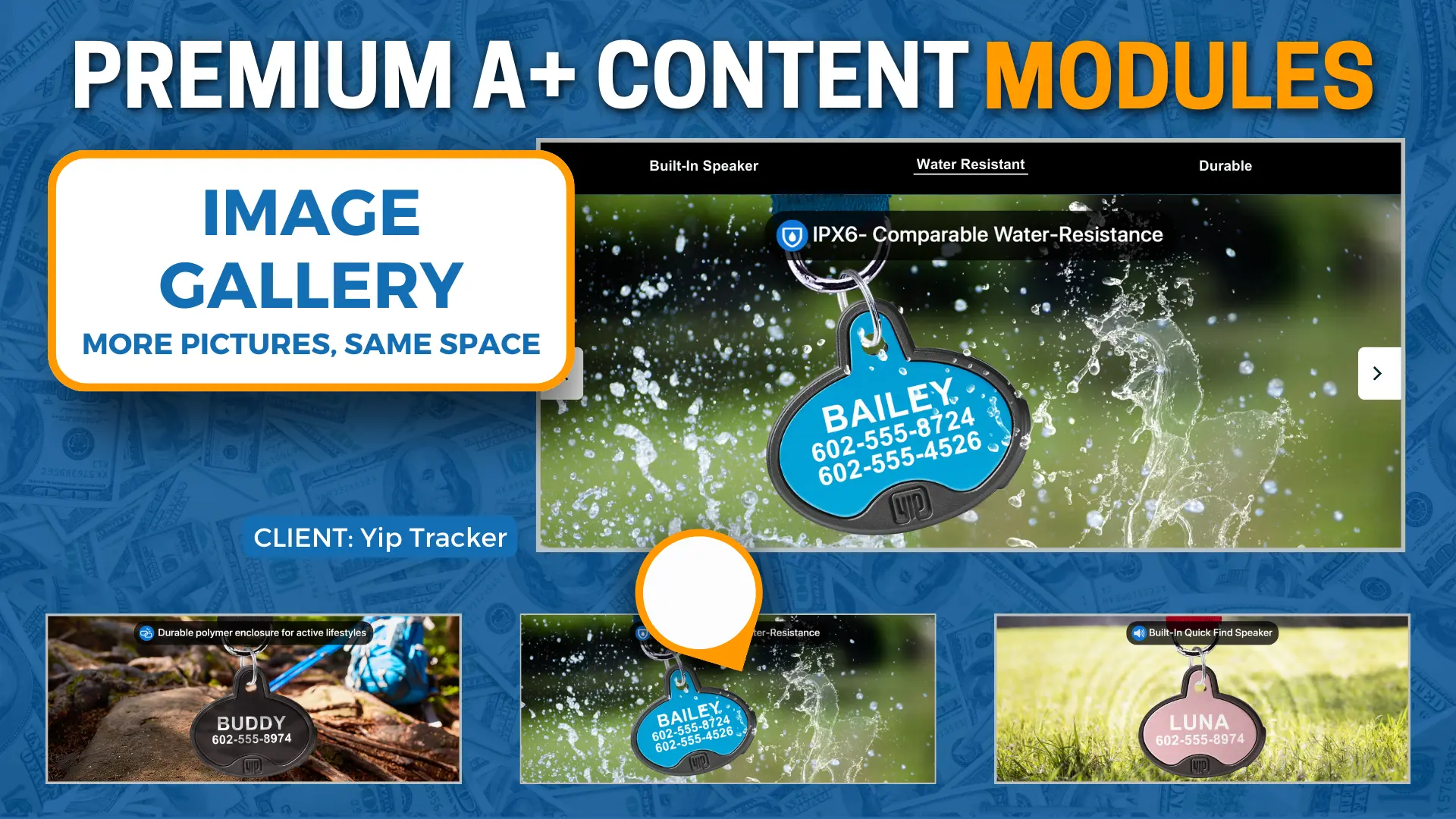 Premium A+ Image Gallery